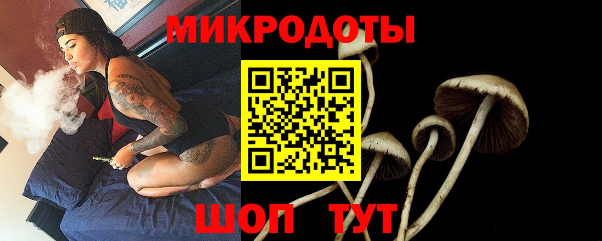 Галлюциногенные грибы GOLDEN TEACHER Шебекино