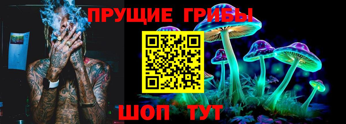 Псилоцибиновые грибы мицелий  Вход с VPN  Шебекино 